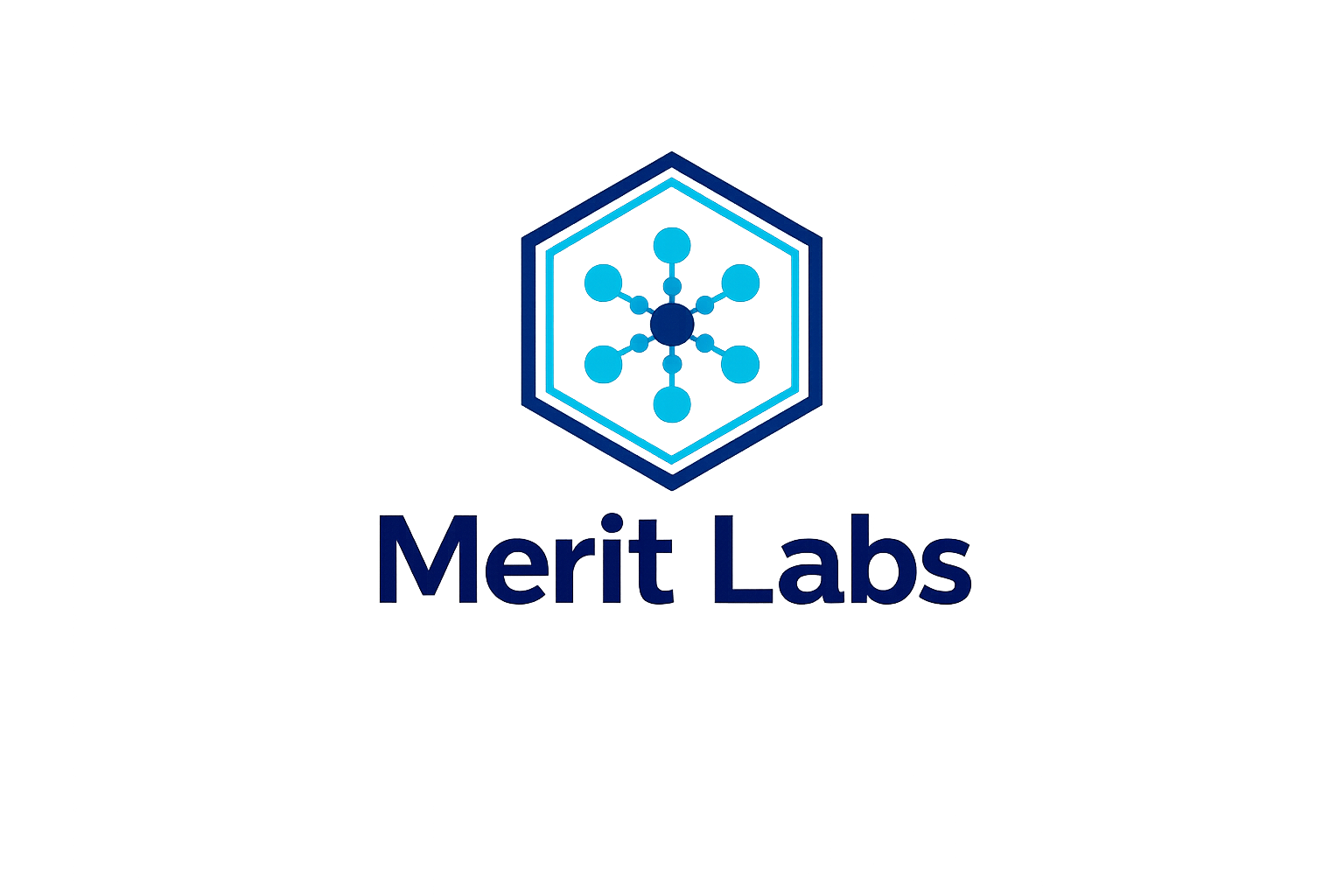 Merit Labs